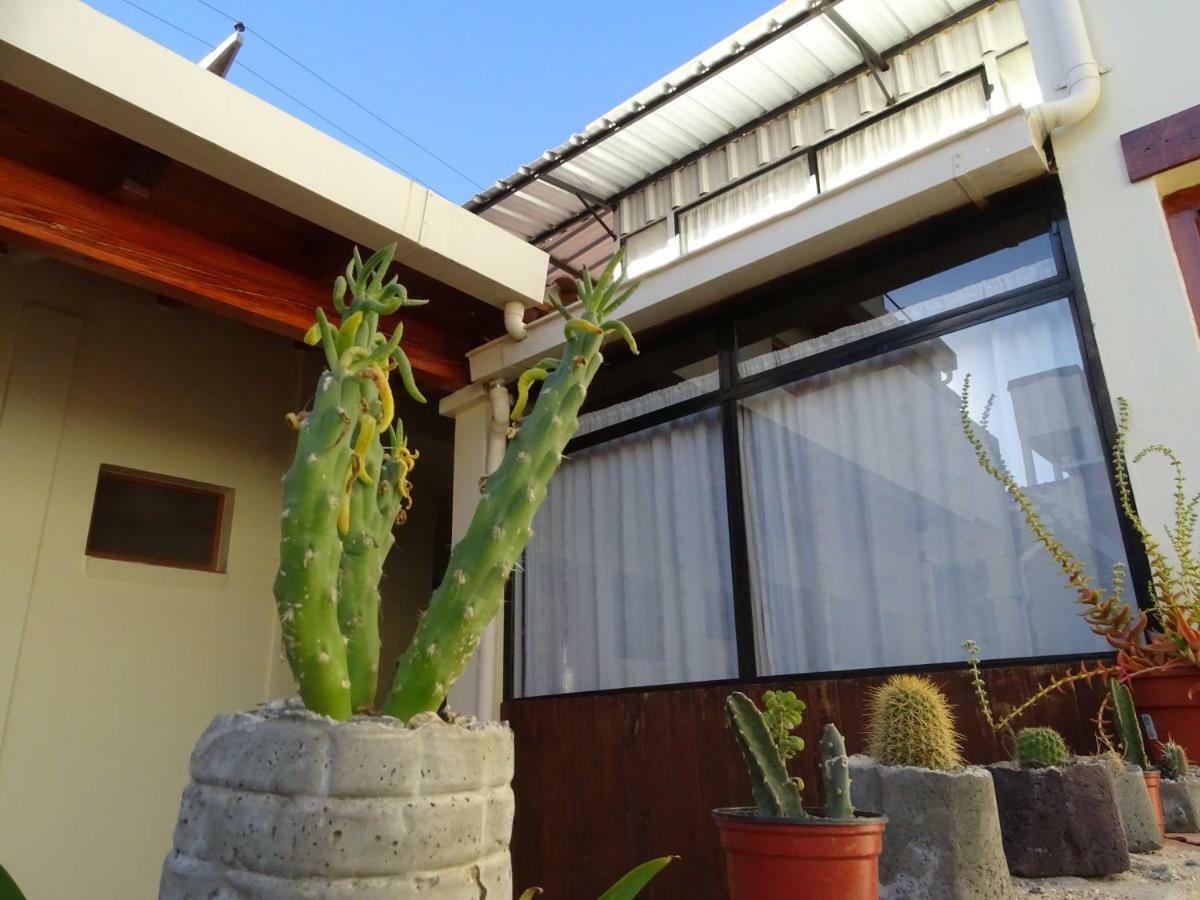 Отель Casa Cactus Кафайяте Экстерьер фото